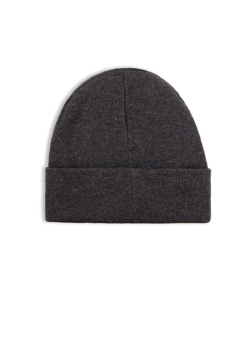 Bonnet comme des loups gris foncé